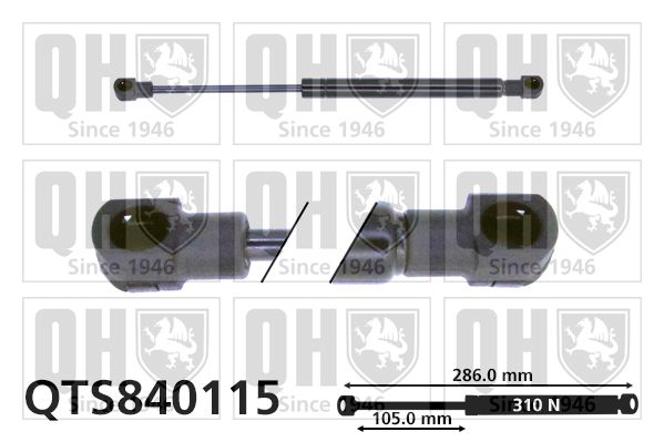 QUINTON HAZELL Gaasivedru, pagasi-/veoruum QTS840115